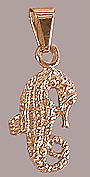 Pingente Cavalo Marinho