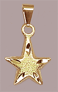 Pingente Estrela